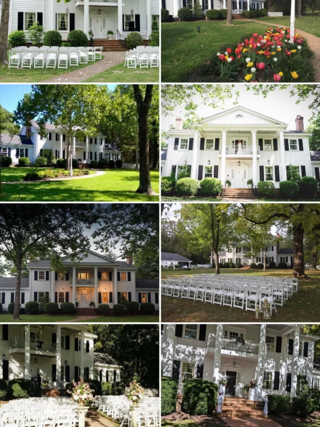 ✨ Just Opened Up! ✨

Saturday, November 8, 2025 is now AVAILABLE!

Tag someone still looking for their dream date!

https://vacliffeinn.com/
804-382-0500

#rvaweddings #rvaweddingphotographer #rvaevents